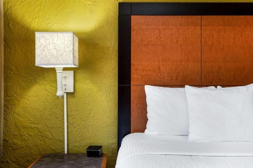 La Quinta Inn & Suites by Wyndham Tampa Bay Airport image 19